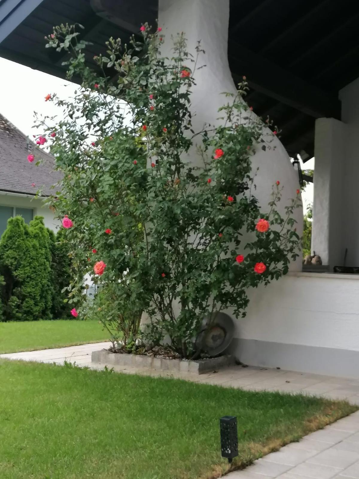 Appartment Nocksteinblick Guggenthal Eksteriør bilde